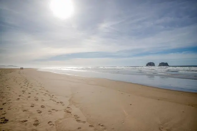 Saltair Creek Cottage - Plaj