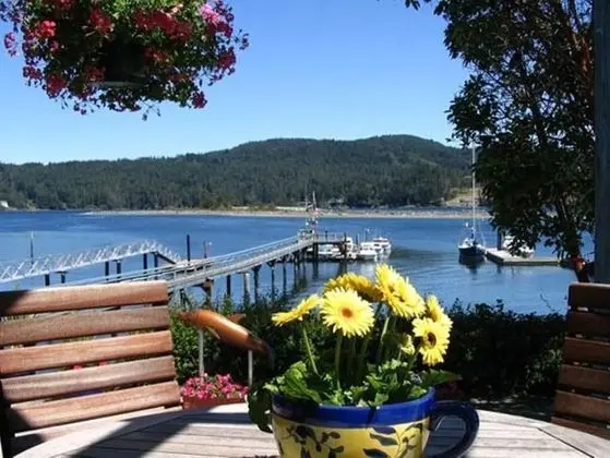 Salty Towers Oceanfront Cottages