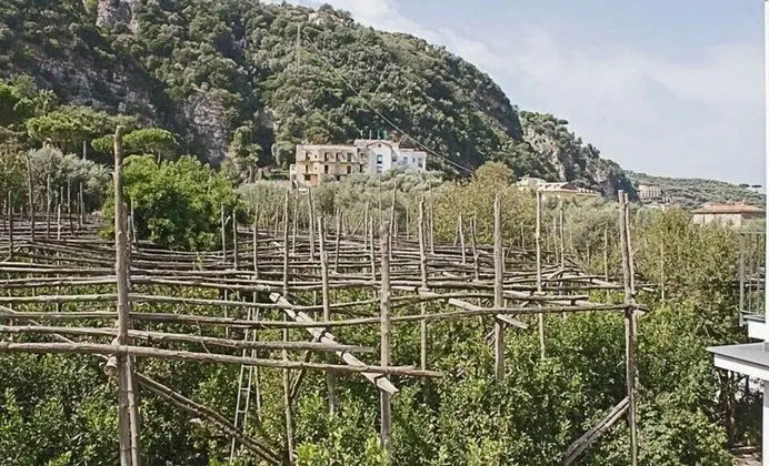 Villa Salvocarmelina - Dış Mekan