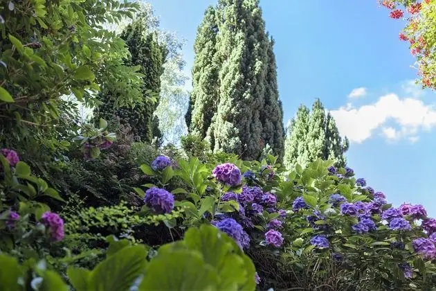 Salzhotel Fortuna - Dış Mekan
