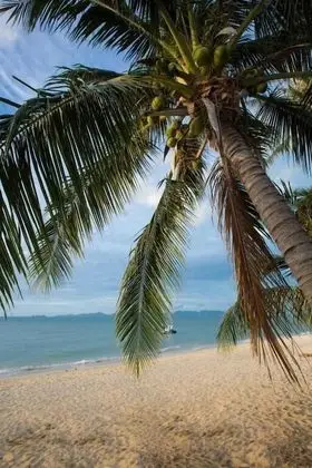 Sam-kah Karibu Beach House - Plaj