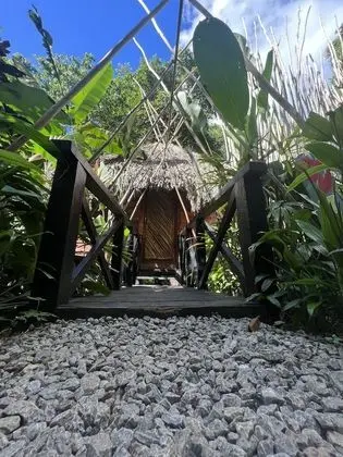 Sámana tropical
