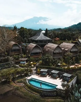 Samanvaya Bali