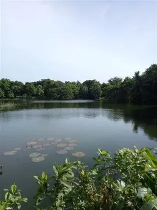 Samathi Lake Resort - Dış Mekan