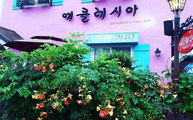 Samcheok Ecclesia's Morning Guest House
