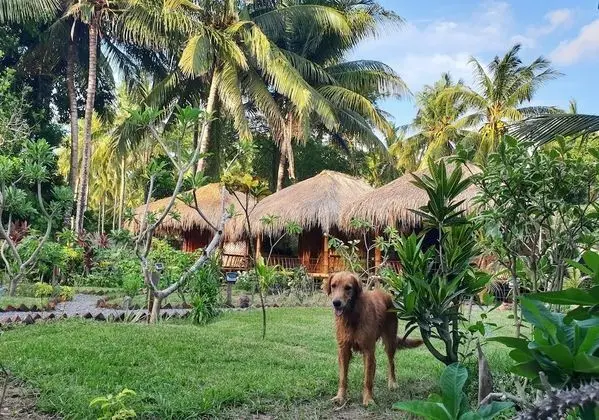 Same Same Bungalows Eco Lodge