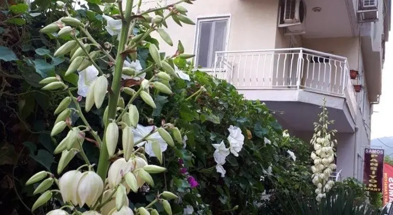 Samos Apart Pension