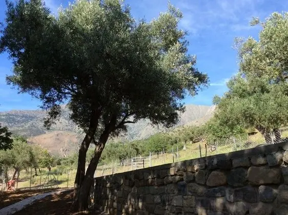 Samothraki Suites Kalisti