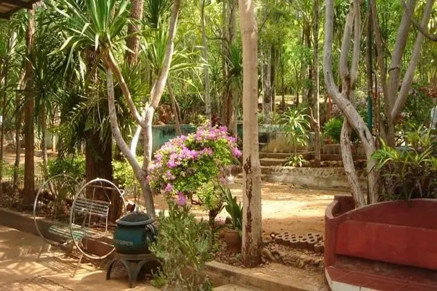Sam's Jungle Guesthouse - Dış Mekan