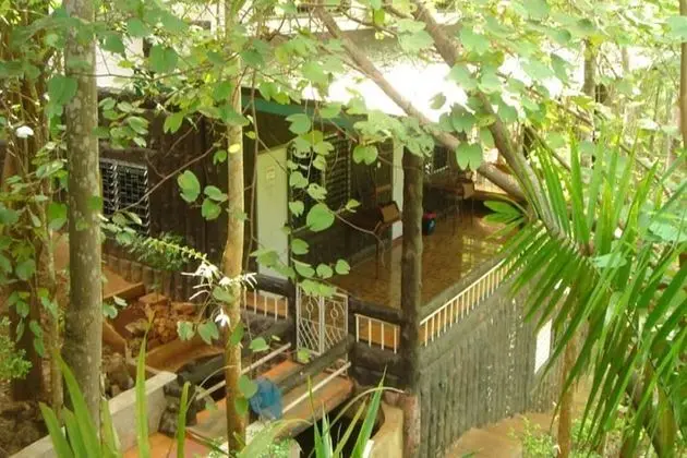 Sam's Jungle Guesthouse - Öne Çıkan Resim