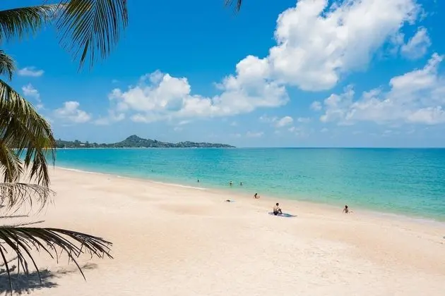 Samui Beach Hostel - Adults Only - Oda Manzaraları