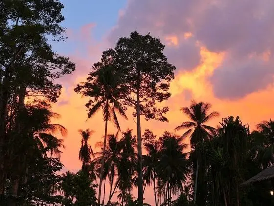 Samui Caravans Hill Camp - Konum Öne Çıkanlar