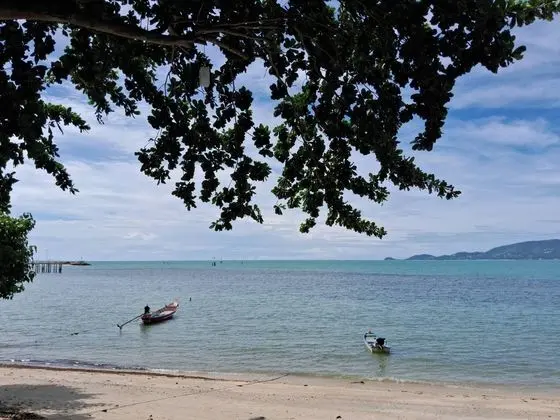 @ Samui Haus - Plaj