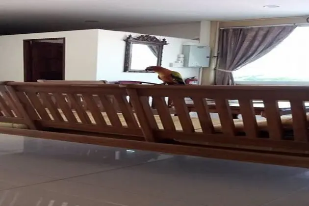 Samui Lakeside Hostel - Adults Only - Lobi