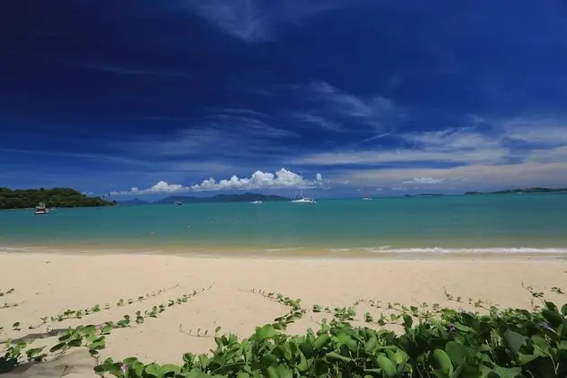 Samui Palm Beach Lead by Celes Samui - Plaj