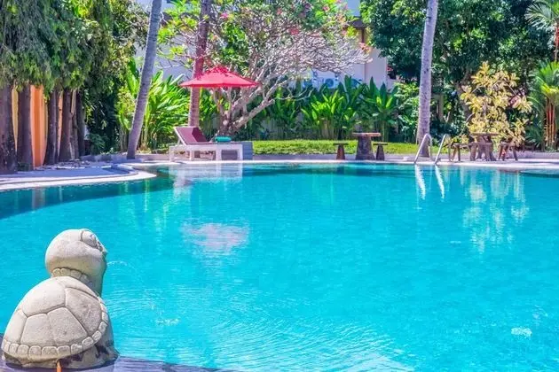 Samui Sense Beach Resort - Havuz