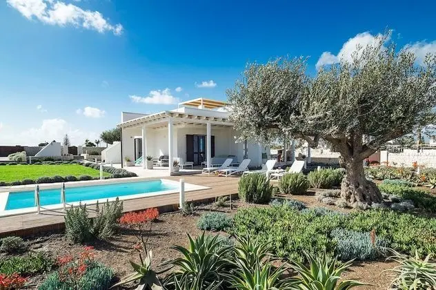 San Lorenzo - Rosmarino