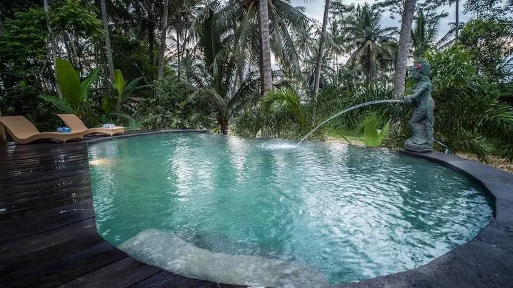 Sandana Ubud Vila - Havuz
