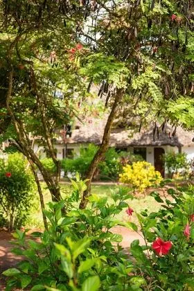 Sandies Baobab Beach Zanzibar - Dış Mekan