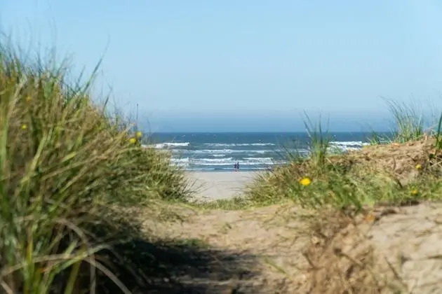 Sandpiper Cottage - Plaj