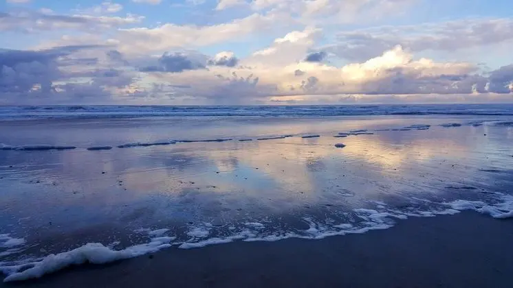 Sandpiper Cottage - Waldport