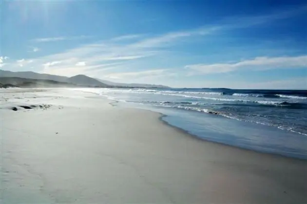 Sandpiper Ocean Cottages - Genel