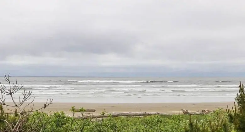 Sandpiper Retreat - Plaj