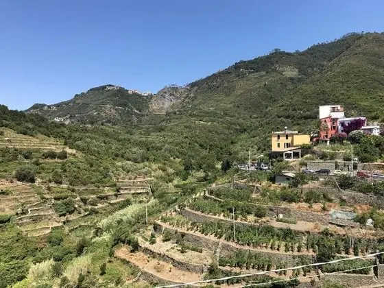 Sandra Villa Rooms