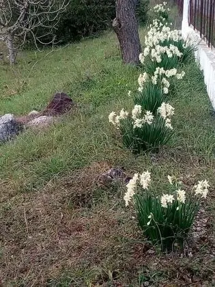 Villa Sandra - Dış Mekan