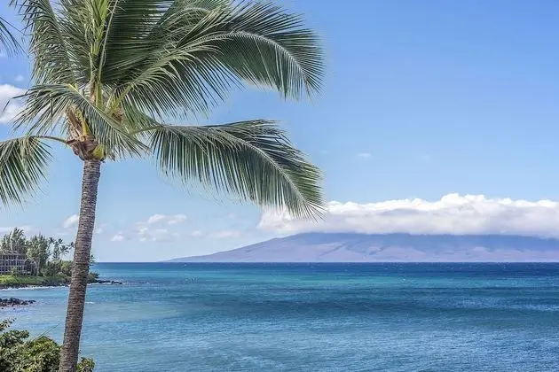 Sands Of Kahana 336 2 Bedroom Condo by Redawning