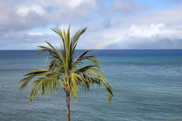 Sands Of Kahana 336 2 Bedroom Condo by Redawning - Plaj