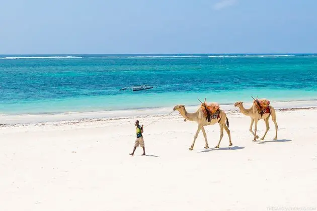 The Sands at Nomad
