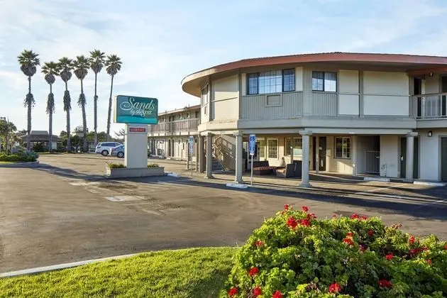 The Sands By The Sea