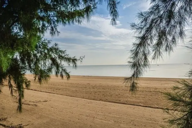 Sandy Beach Condo 15E - Plaj
