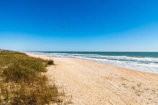 Sandy Dreams