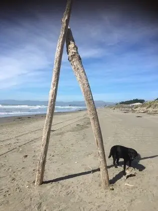 Sandy Feet Accommodation - Öne Çıkan Resim