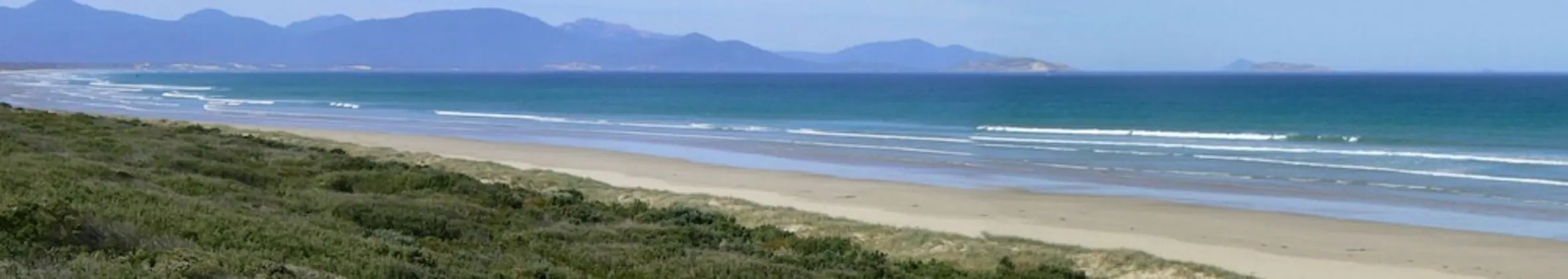 Sandy Point Beach Escape - Plaj