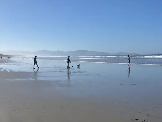 Sandy Point Beach Escape - Plaj