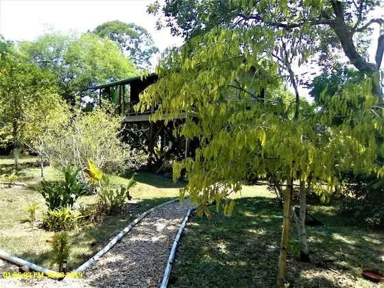 Sanpopo Tree Top Cottage - A Gold Standard Tourism Approved Tree Top Home