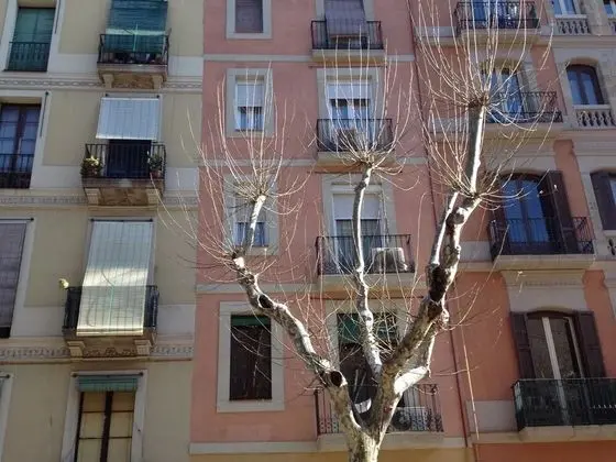 Sant Antoni Market