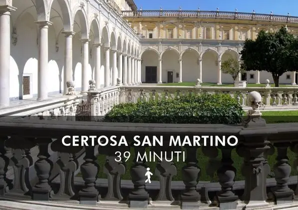 SANTA LUCIA 50