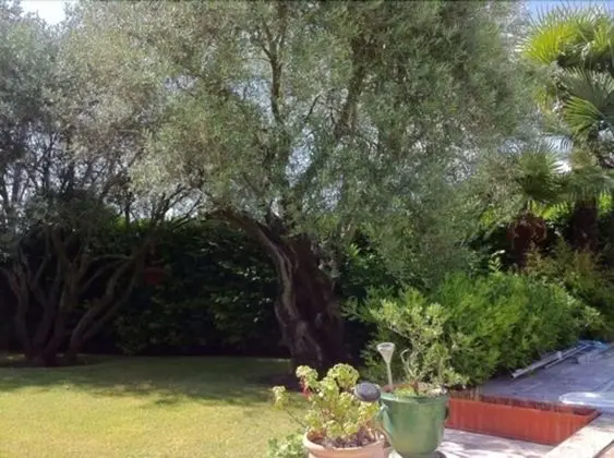 Villa Santa Rita - Dış Mekan