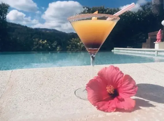 Villa Santa Rita - Havuz