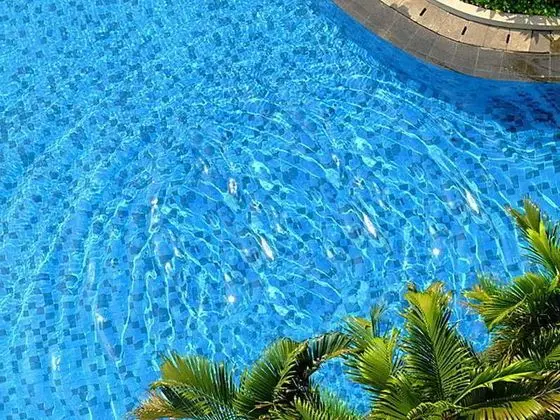 Hotel Santika Premiere Slipi Jakarta - Havuz