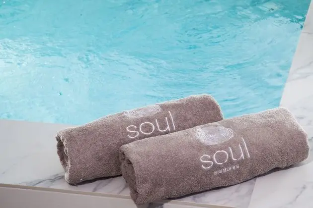 Santorini Soul Villas - Havuz