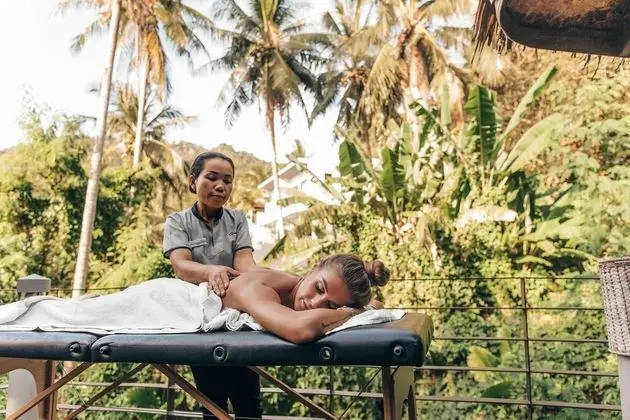 Santosa Detox & Wellness Center - Spa