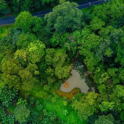 Santuario de Ranas Valle Azul