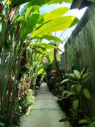 Villa Santun Ubud - Dış Mekan