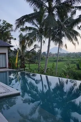 Villa Santun Ubud - Havuz