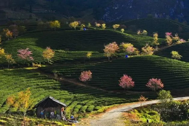 Sapa Dao Homestay - Öne Çıkan Resim